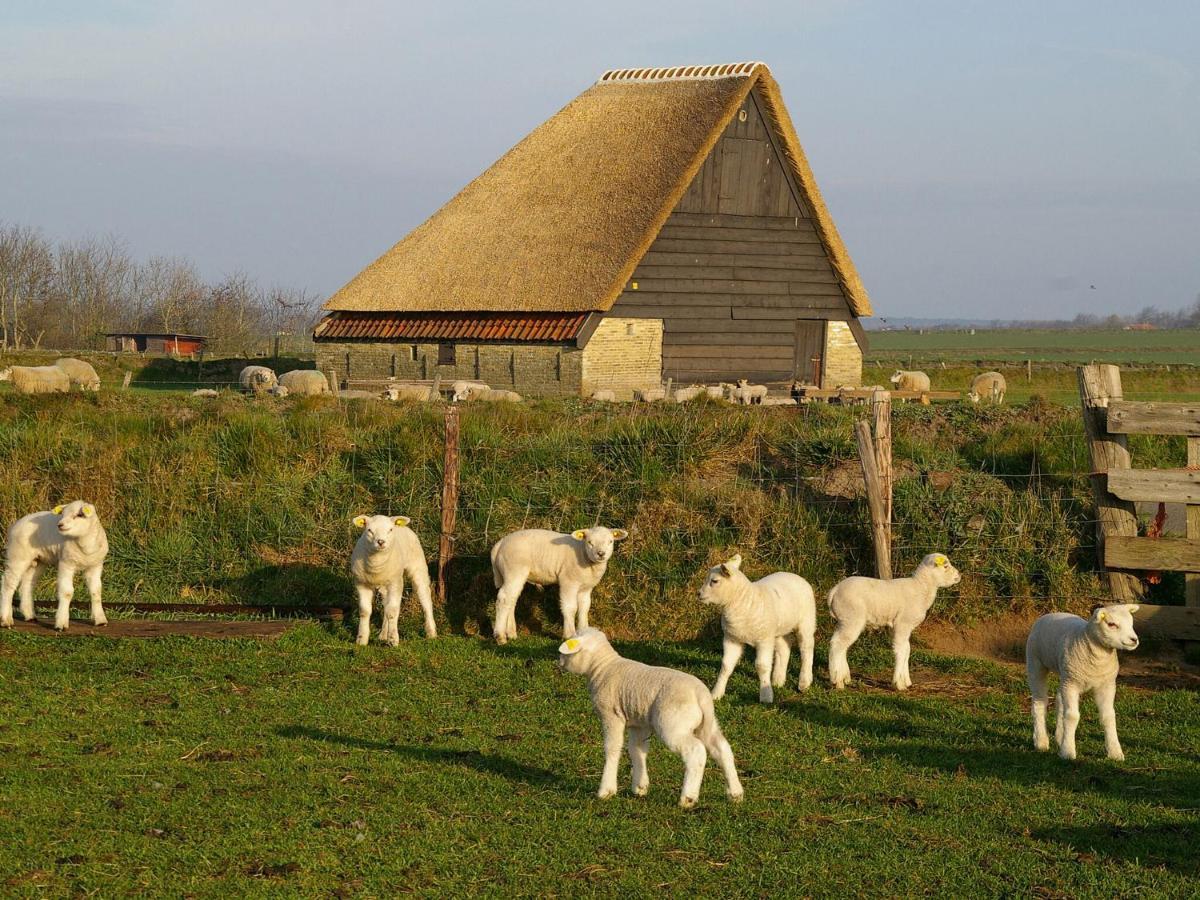 Fantastic Bungalow On Texel De Cocksdorp  Exterior foto